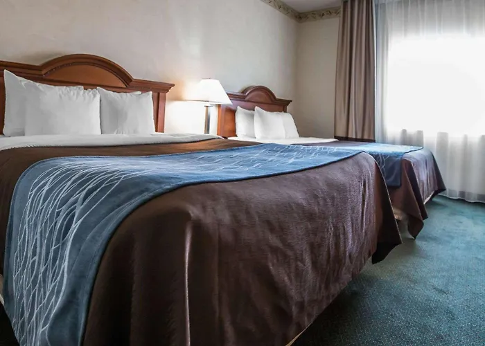 Hotel Express By Ihg Dixon